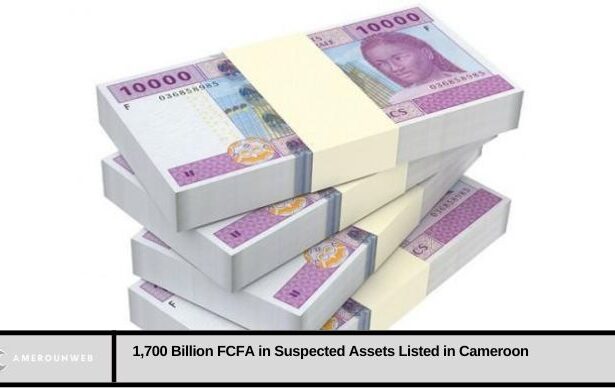 1,700 Billion FCFA in Suspected Assets Listed in Cameroon