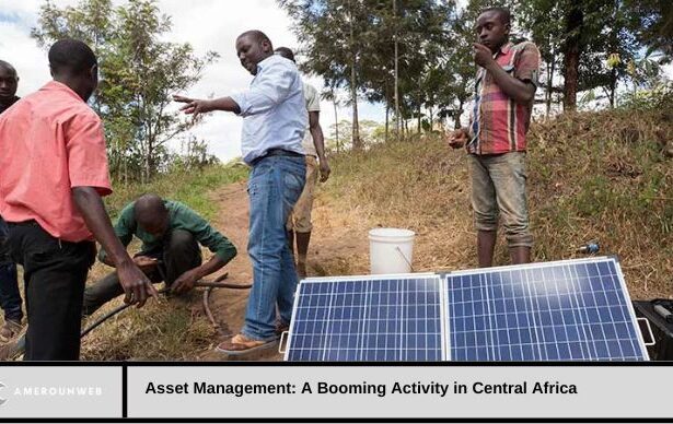 Asset Management