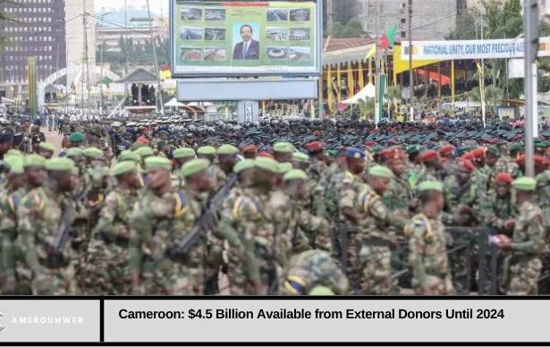 Cameroon: $4.5 billion available from external donors until 2024