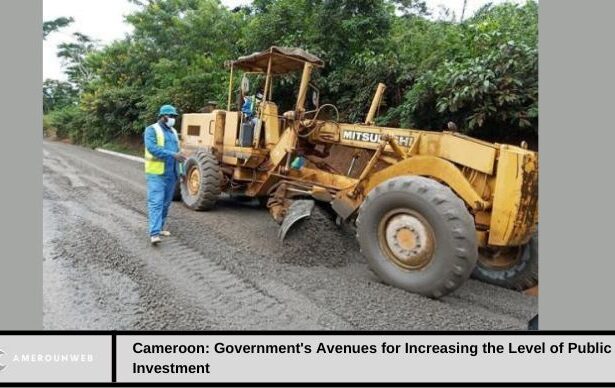 Cameroon: Government's Avenues for Increasing the Level of Public Investment