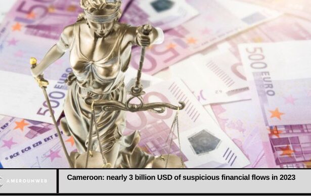Cameroon: Nearly $3 Billion in Suspicious Financial Flows in 2023
