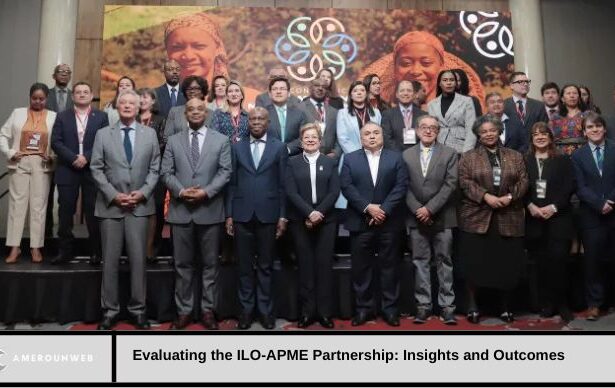 ILO – APME Partnership Evaluation Meeting