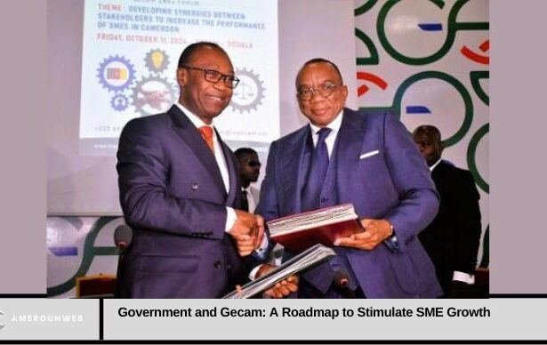 Government and Gecam: A Roadmap to Stimulate SME Growth
