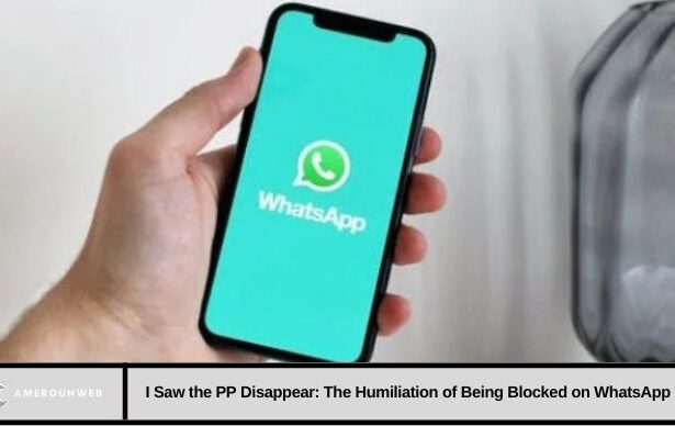 I Saw the PP Disappear: The Humiliation of Being Blocked on WhatsApp