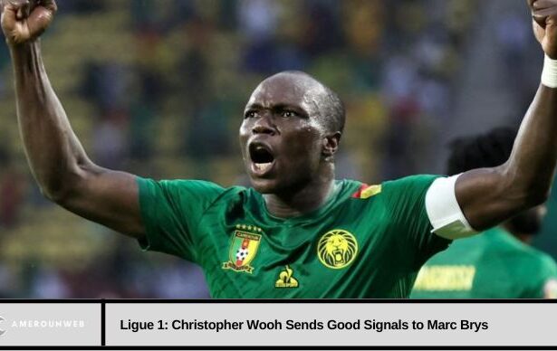 Ligue 1: Christopher Wooh sends good signals to Marc Brys
